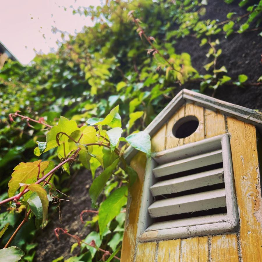 La Maison Aux Murs Anciens Et Ses Chambres Tarbes Ngoại thất bức ảnh